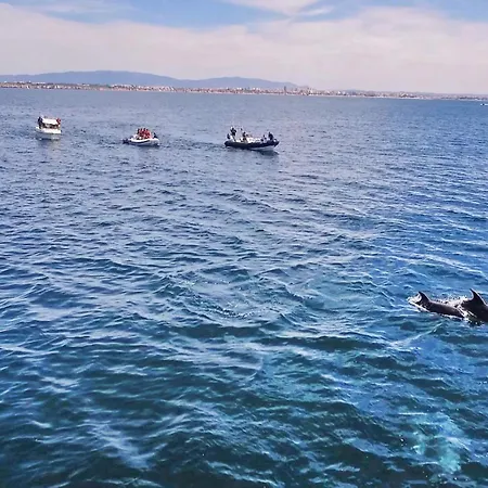 Crisandra By Algarve Vacation