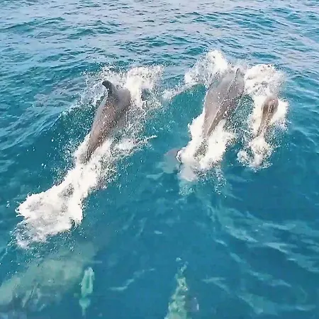 Βίλα Crisandra By Algarve Vacation